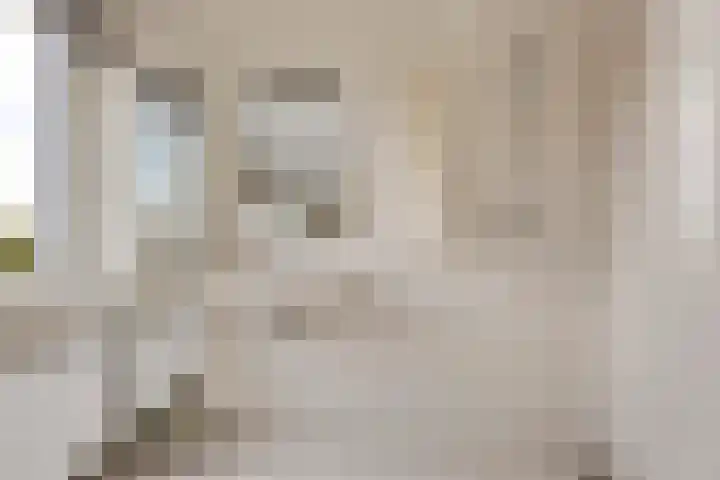 Alde Syl 8 Makkum thumbnail 20