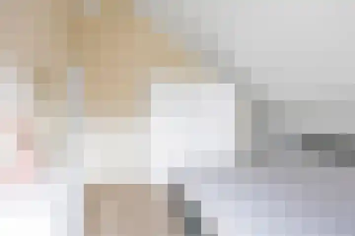 Alde Syl 8 Makkum thumbnail 25