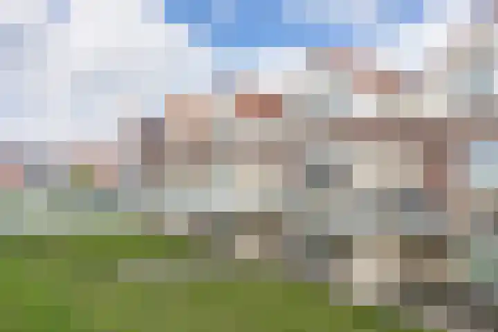 Alde Syl 8 Makkum thumbnail 39