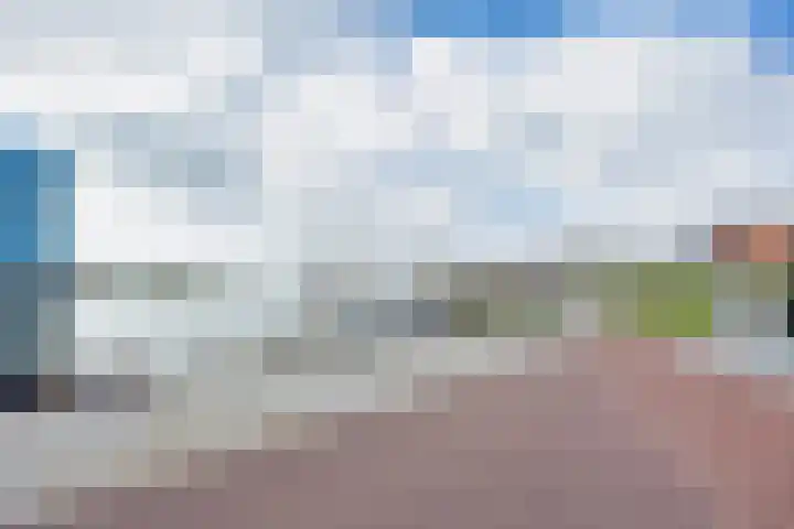 Alde Syl 8 Makkum thumbnail 42