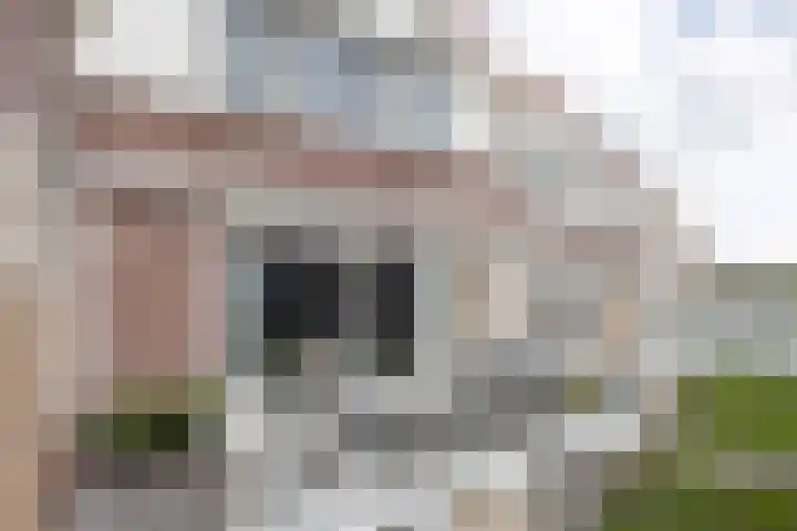 Alde Syl 8 Makkum thumbnail 7