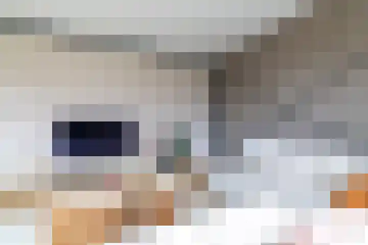 Alde Terp 21 Dokkum thumbnail 10