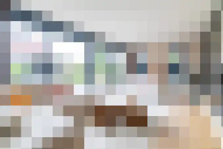 Alde Terp 21 Dokkum thumbnail 12