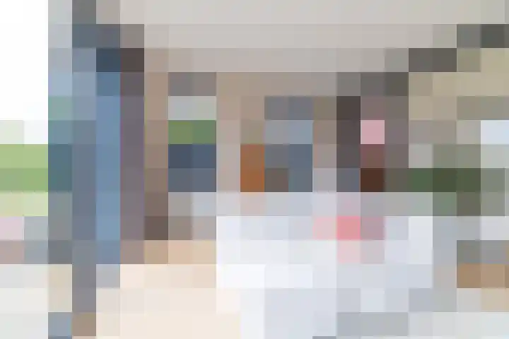 Alde Terp 21 Dokkum thumbnail 13