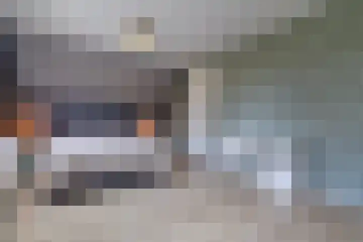 Alde Terp 21 Dokkum thumbnail 32