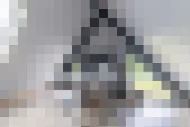 Alde Terp 21 Dokkum thumbnail 48