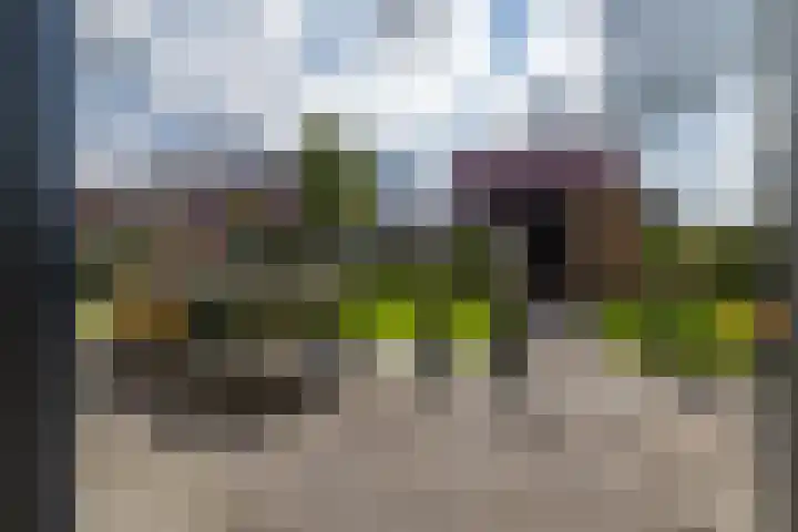 Alde Terp 21 Dokkum thumbnail 56