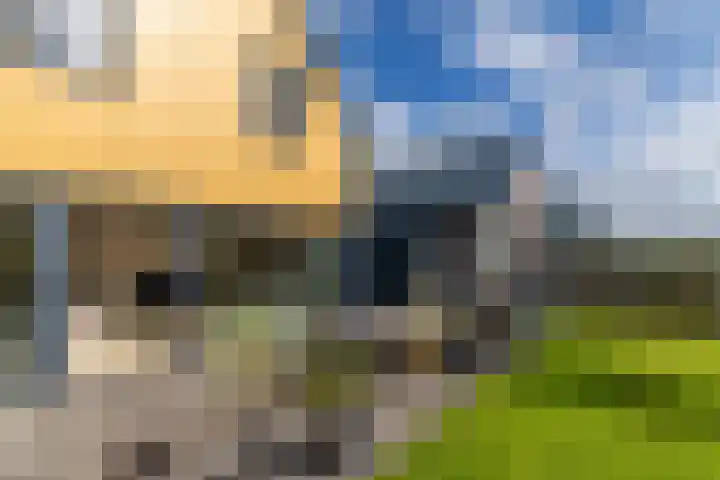 Alde Terp 21 Dokkum thumbnail 57