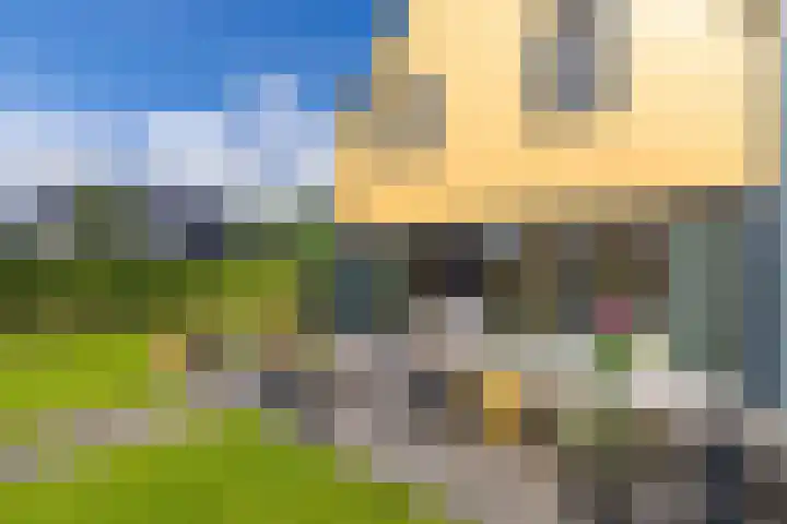 Alde Terp 21 Dokkum thumbnail 59