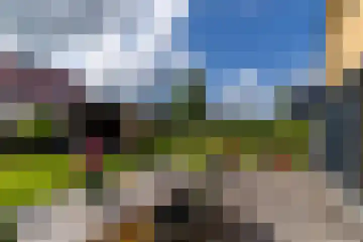 Alde Terp 21 Dokkum thumbnail 60