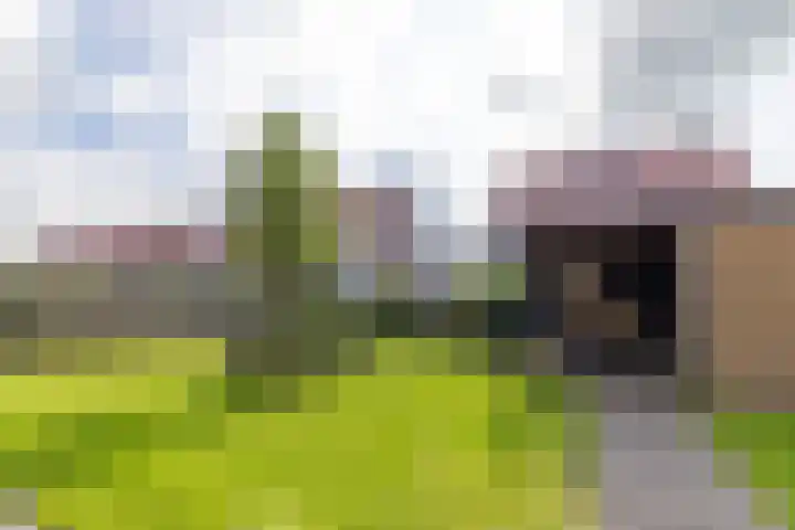 Alde Terp 21 Dokkum thumbnail 61