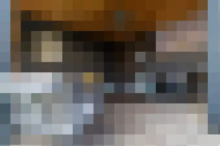 Alde Terp 21 Dokkum thumbnail 62