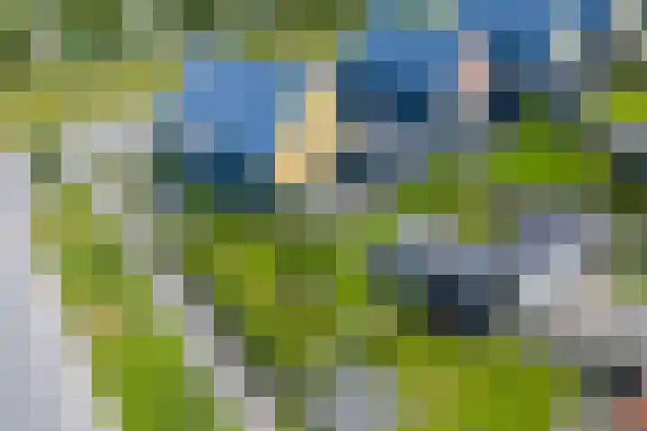 Alde Terp 21 Dokkum thumbnail 64