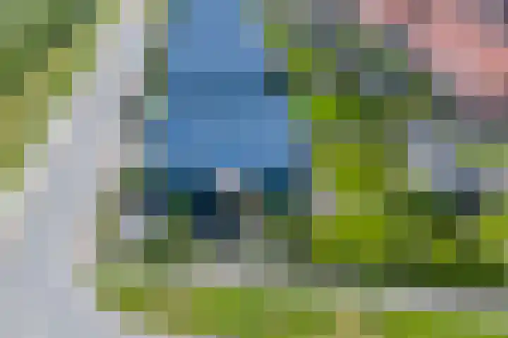 Alde Terp 21 Dokkum thumbnail 65