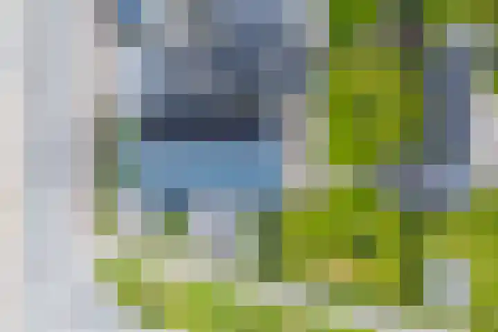 Alde Terp 21 Dokkum thumbnail 67