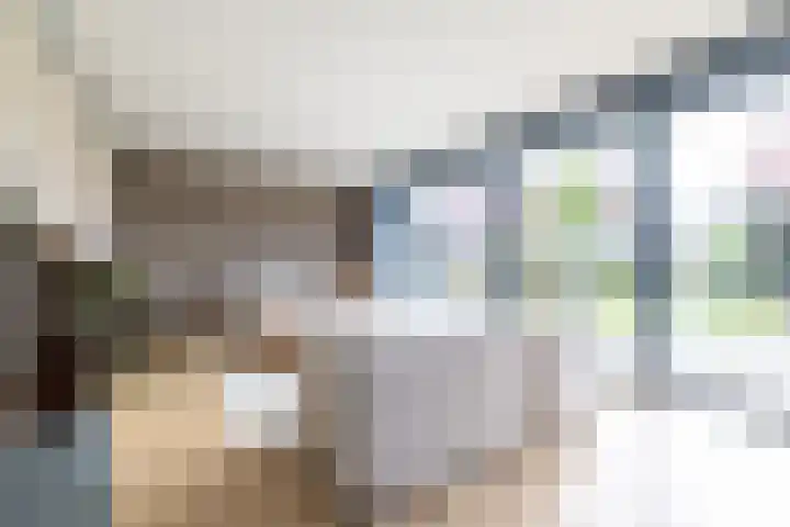 Alde Terp 21 Dokkum thumbnail 8