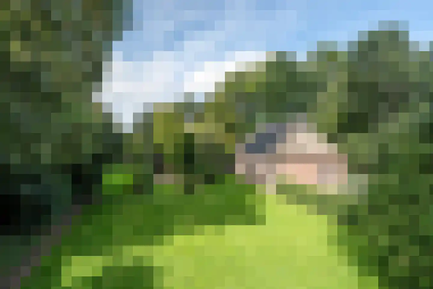 Alde Wei 2 Drachtstercompagnie thumbnail 12