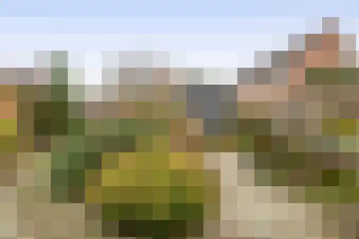 Alde Wei 2 Drachtstercompagnie thumbnail 13