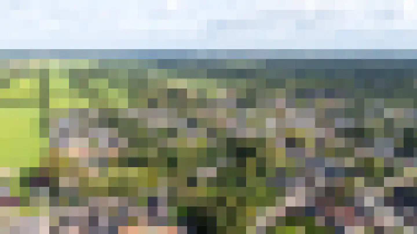 Alde Wei 2 Drachtstercompagnie thumbnail 14
