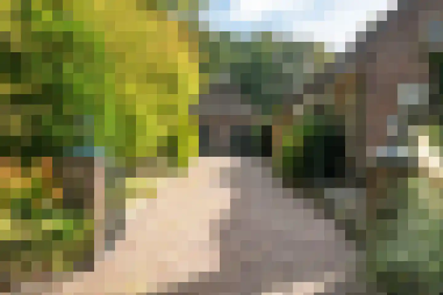 Alde Wei 2 Drachtstercompagnie thumbnail 15