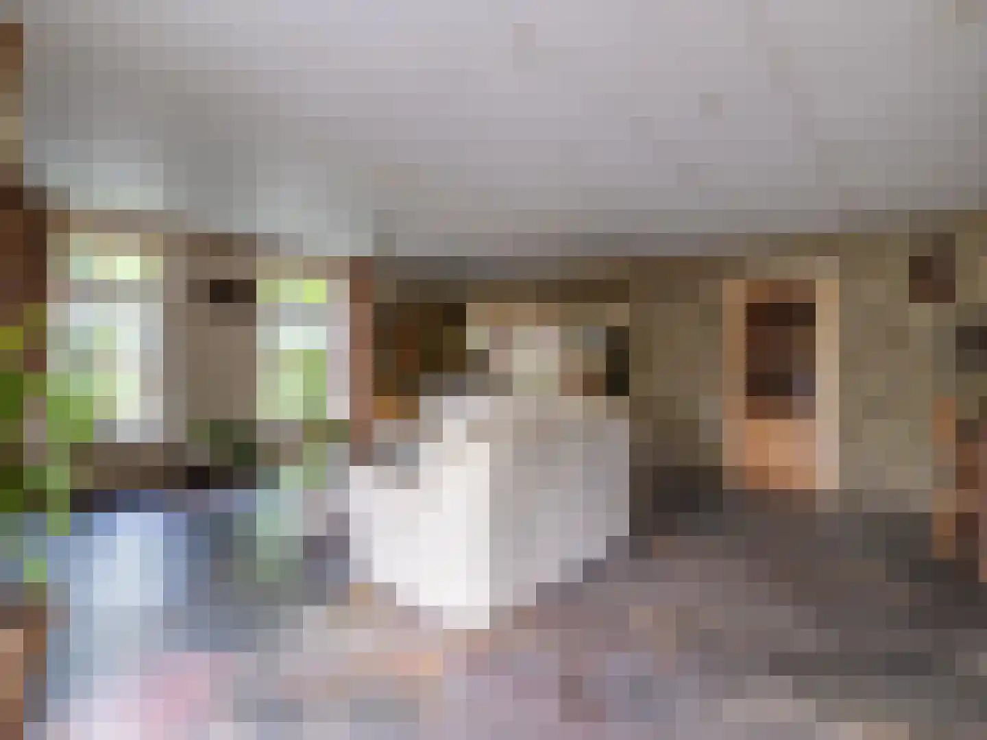 Alde Wei 2 Drachtstercompagnie thumbnail 15