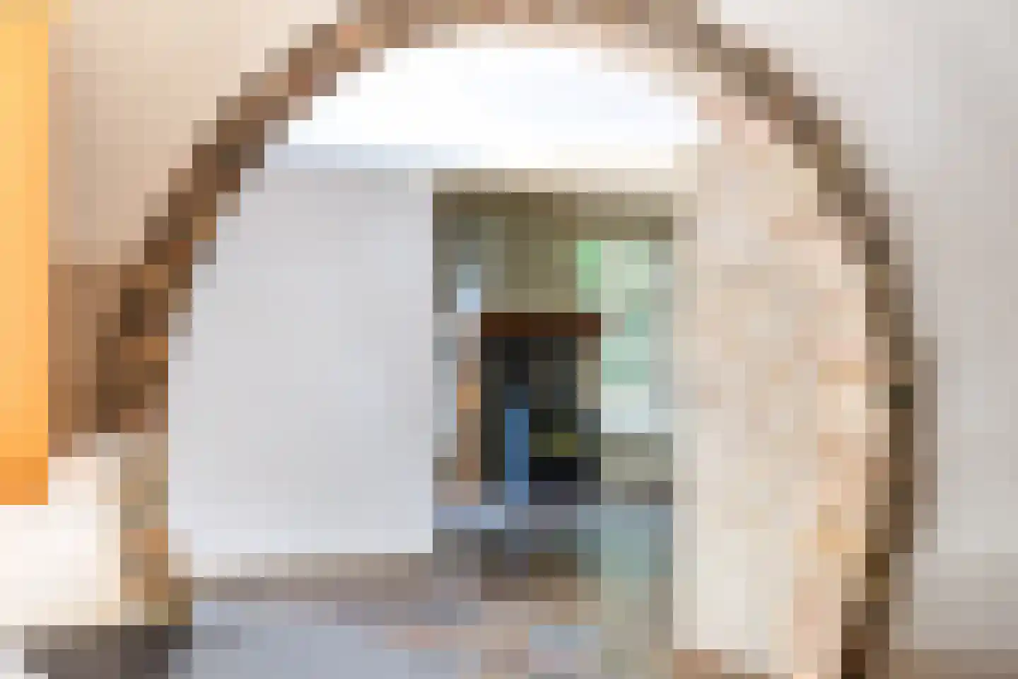 Alde Wei 2 Drachtstercompagnie thumbnail 23