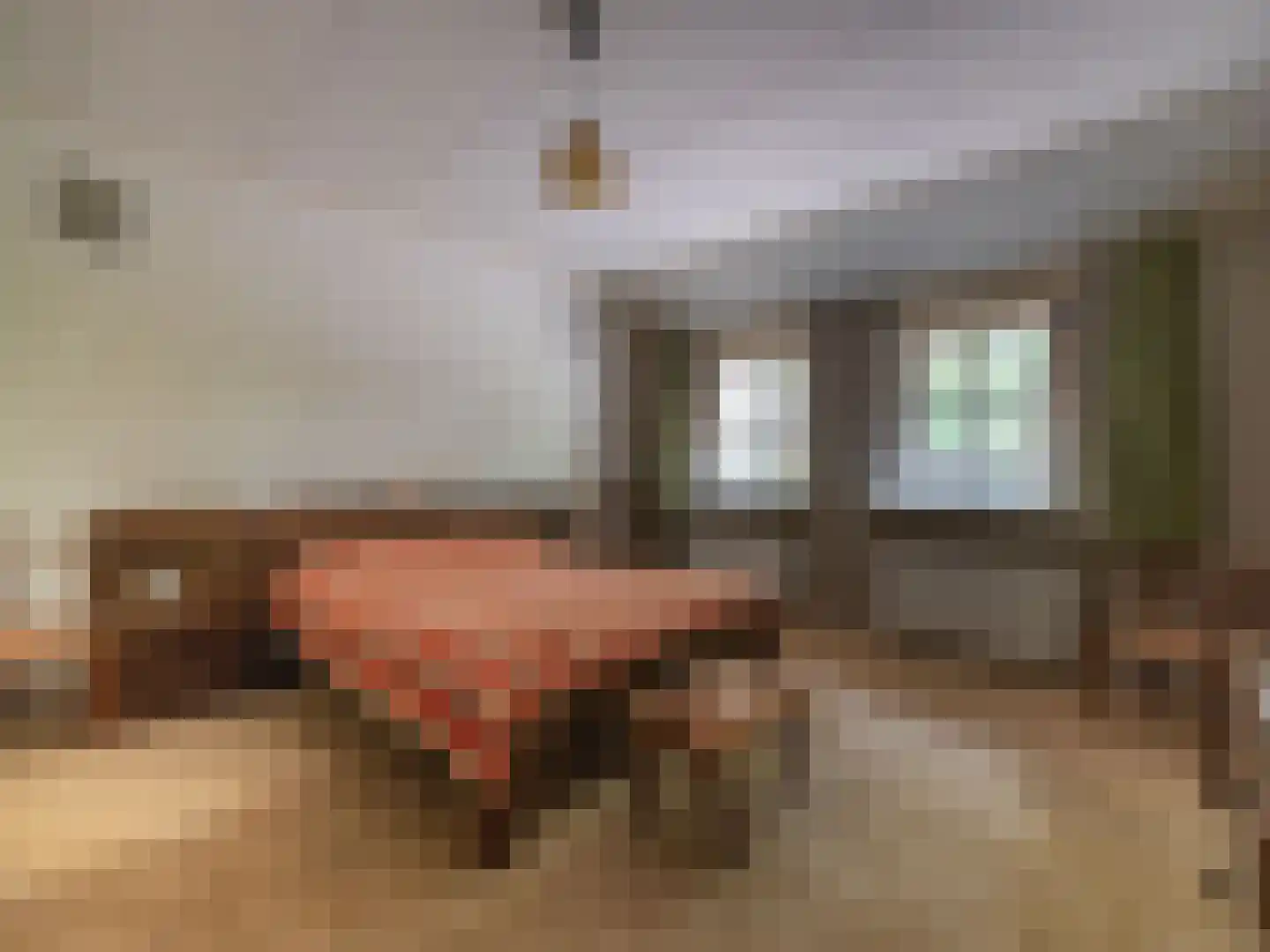 Alde Wei 2 Drachtstercompagnie thumbnail 27