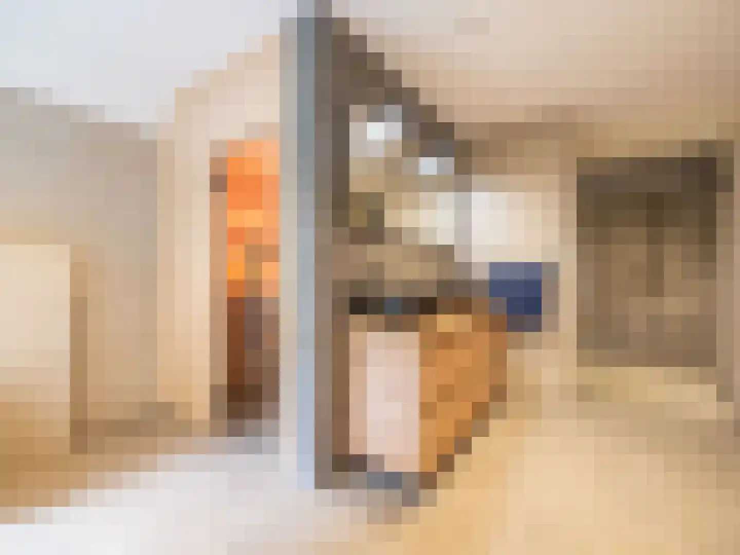 Alde Wei 2 Drachtstercompagnie thumbnail 36