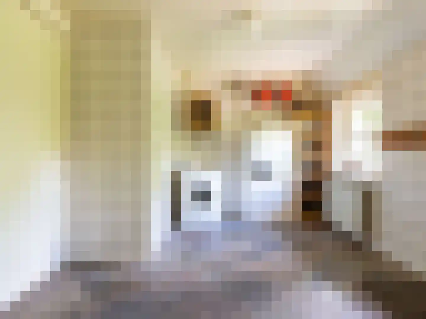 Alde Wei 2 Drachtstercompagnie thumbnail 38
