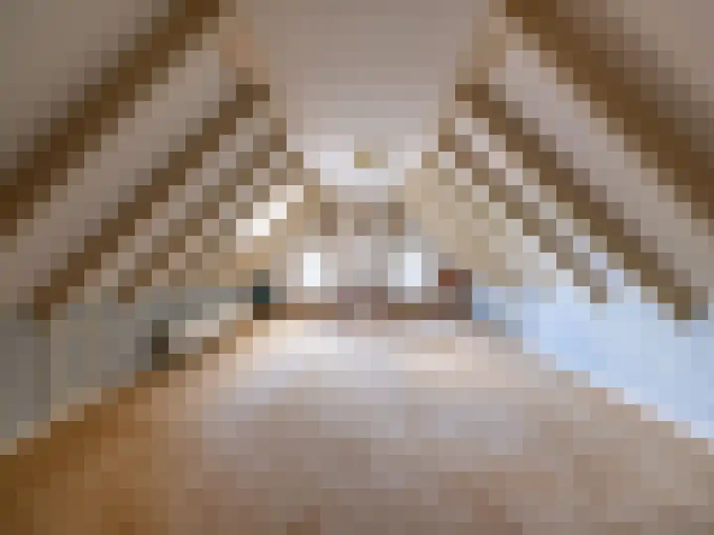 Alde Wei 2 Drachtstercompagnie thumbnail 51