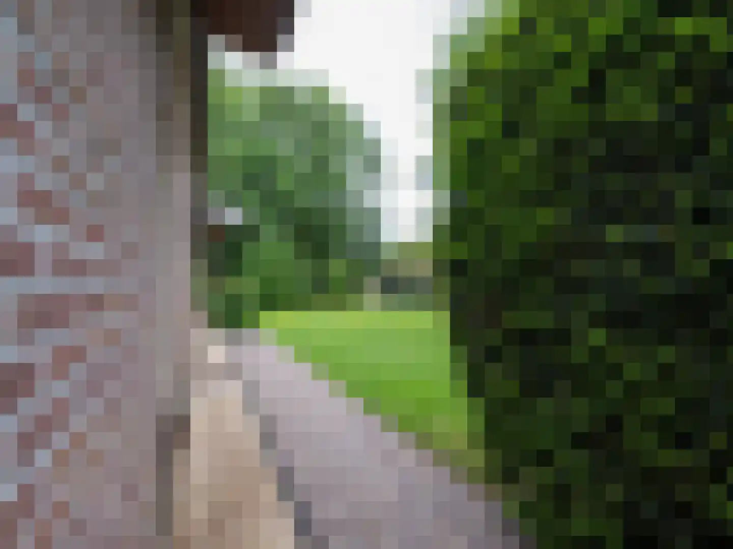 Alde Wei 2 Drachtstercompagnie thumbnail 57