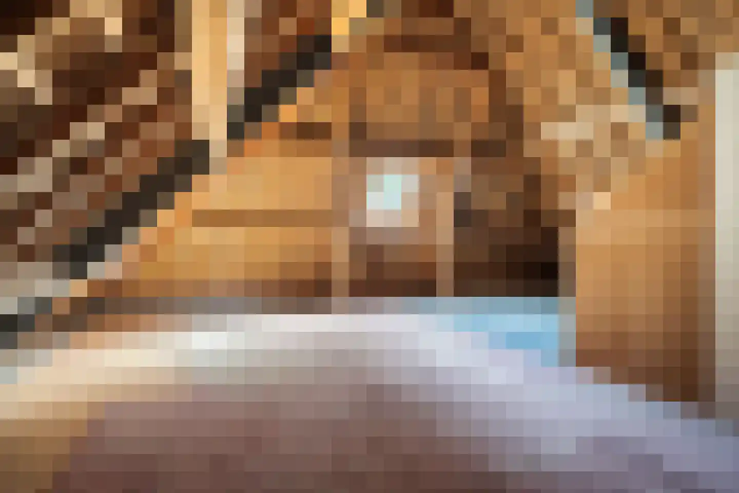 Alde Wei 2 Drachtstercompagnie thumbnail 58