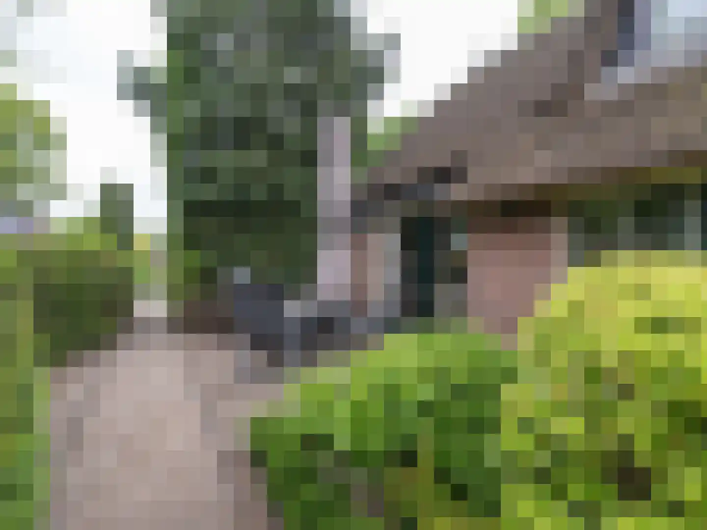 Alde Wei 2 Drachtstercompagnie thumbnail 59