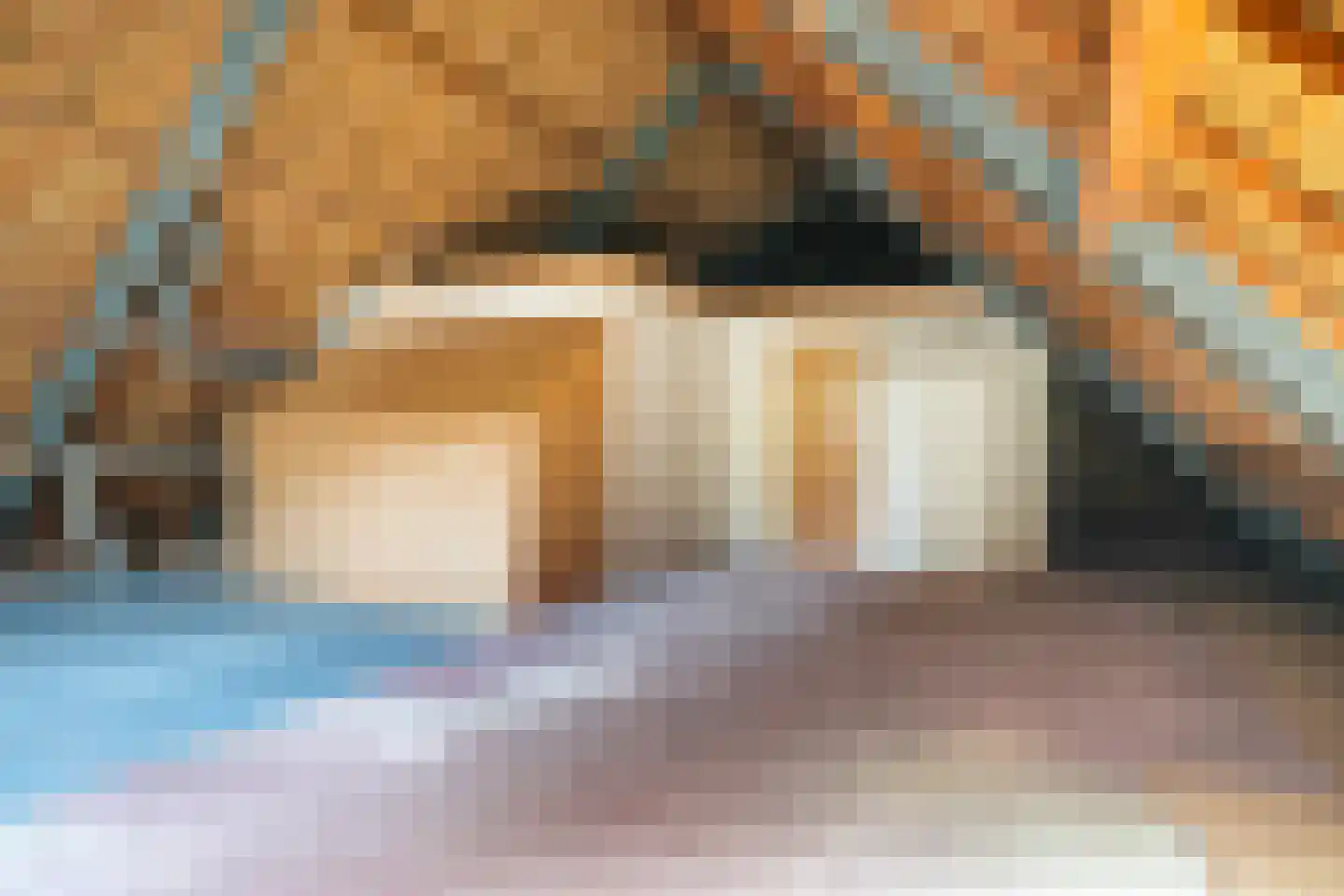 Alde Wei 2 Drachtstercompagnie thumbnail 59