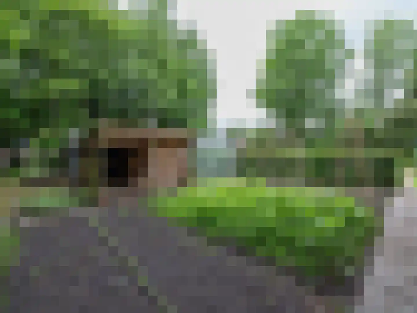 Alde Wei 2 Drachtstercompagnie thumbnail 61