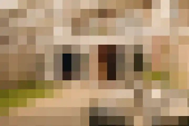 Alde Wei 2 Drachtstercompagnie thumbnail 62