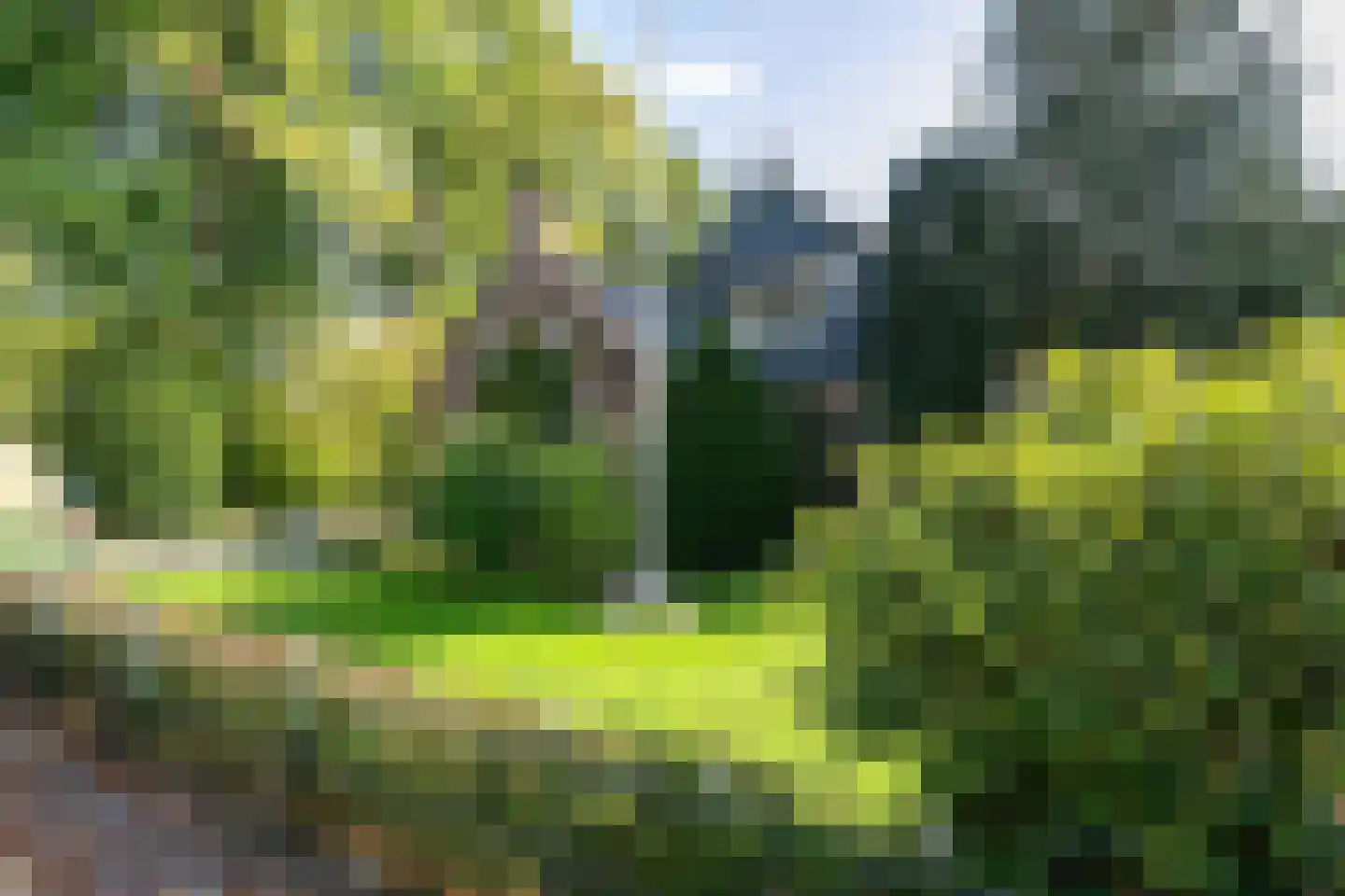 Alde Wei 2 Drachtstercompagnie thumbnail 63
