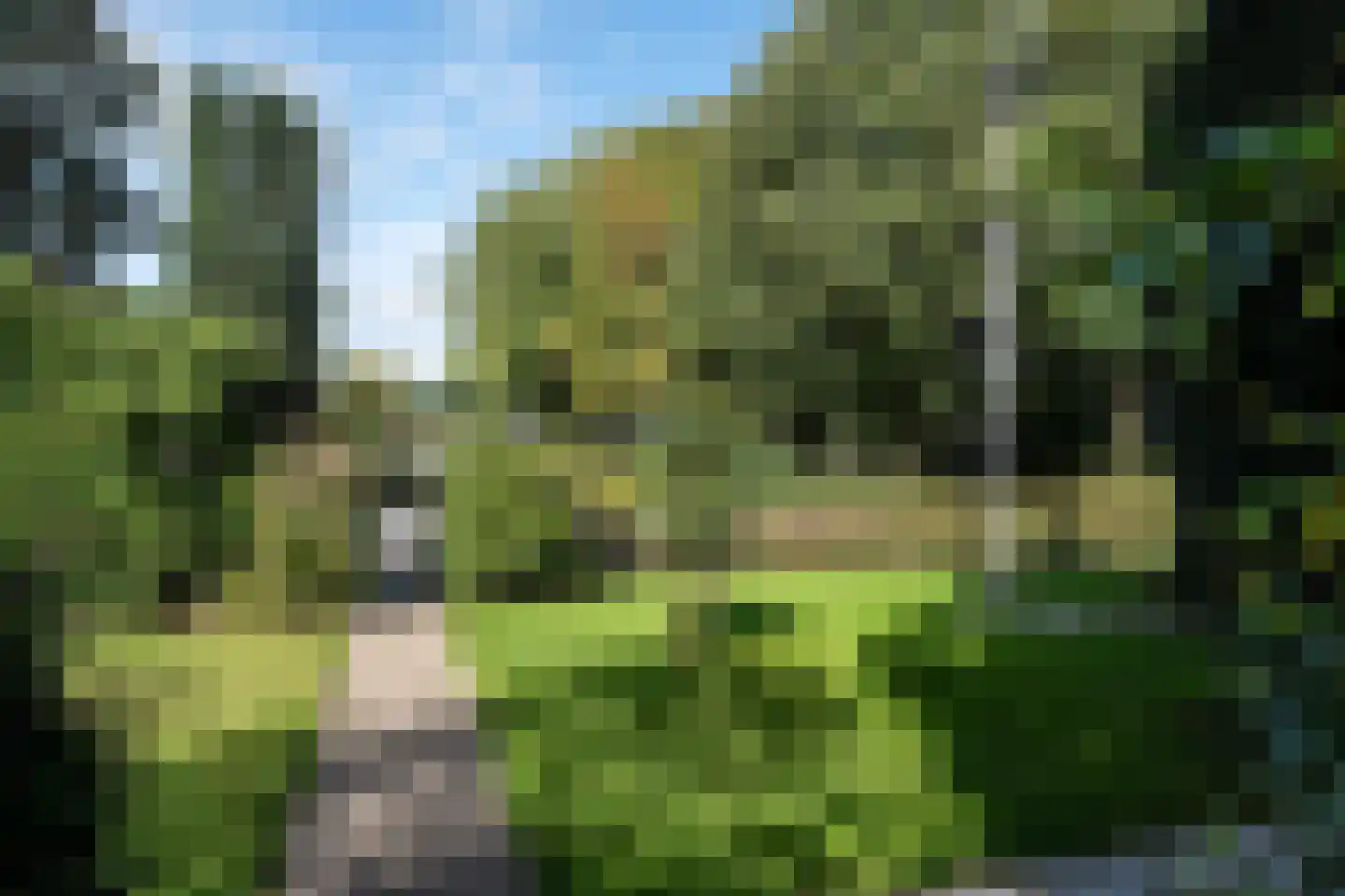Alde Wei 2 Drachtstercompagnie thumbnail 64