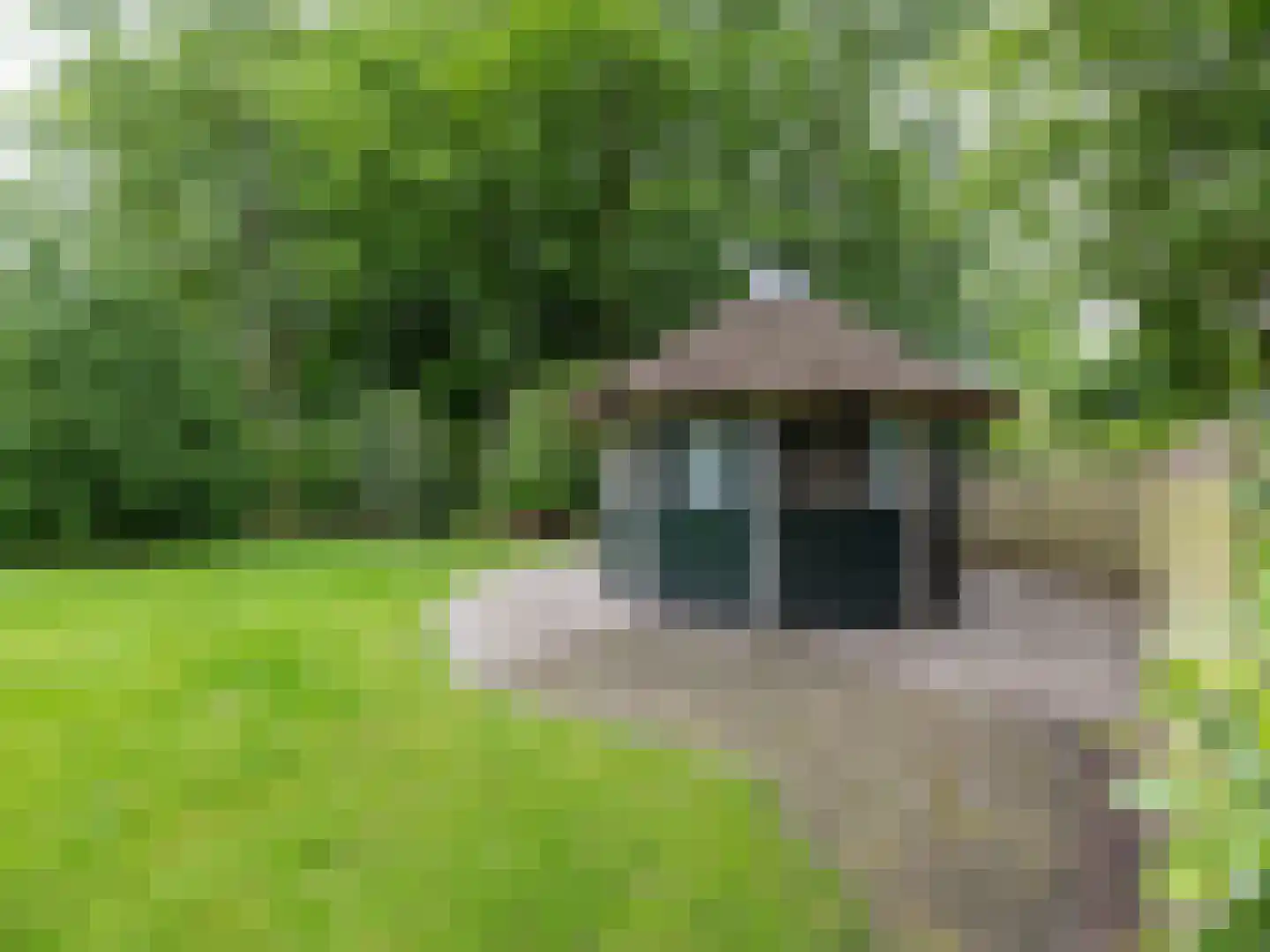 Alde Wei 2 Drachtstercompagnie thumbnail 66