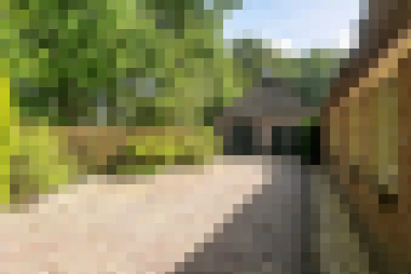 Alde Wei 2 Drachtstercompagnie thumbnail 66