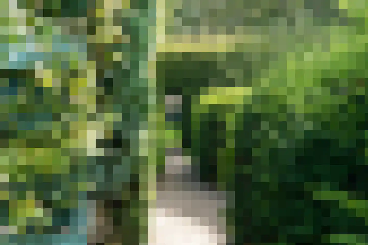 Alde Wei 2 Drachtstercompagnie thumbnail 69