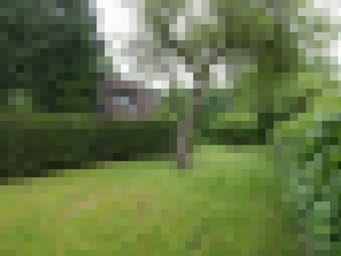 Alde Wei 2 Drachtstercompagnie thumbnail 69