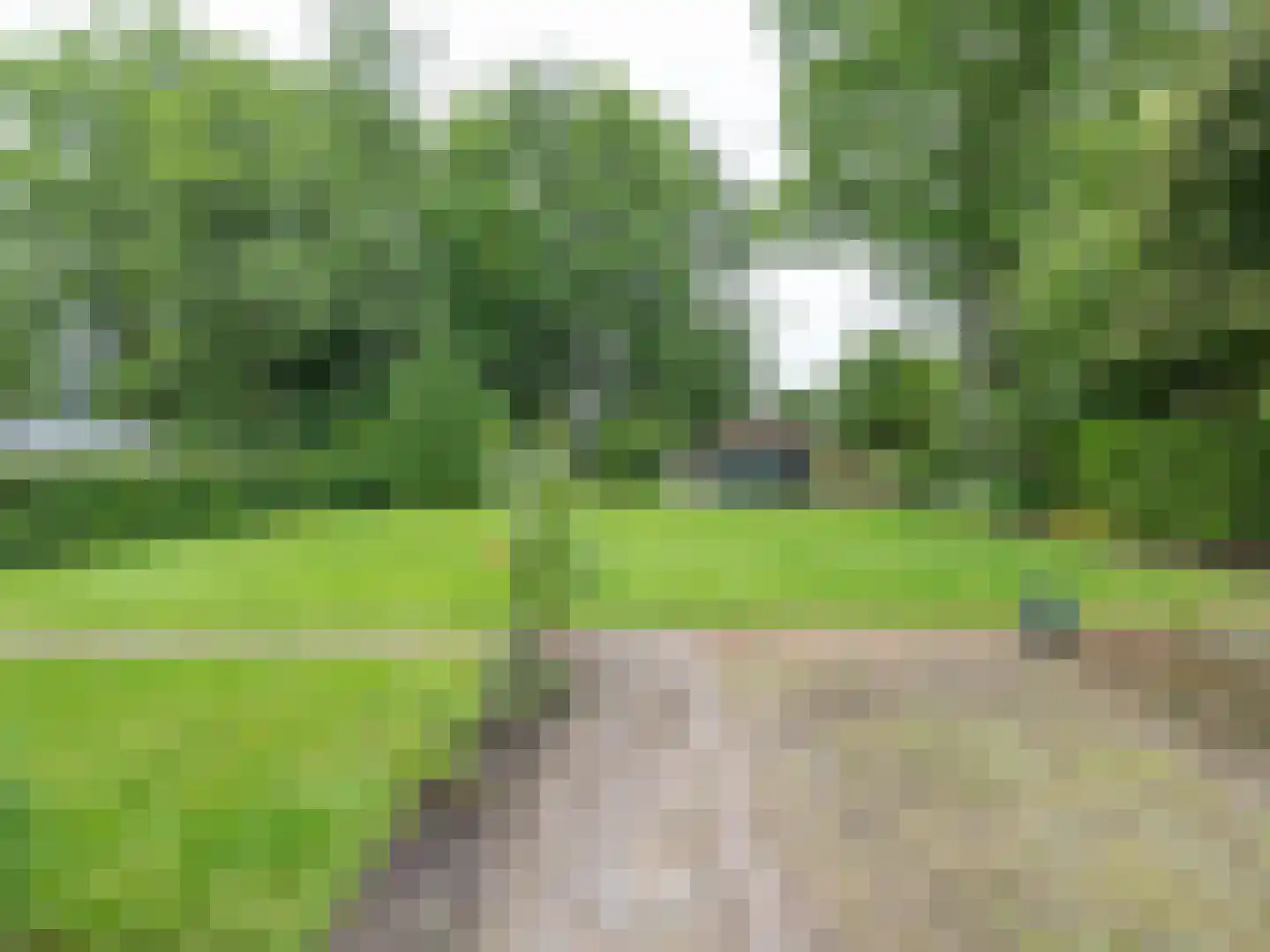 Alde Wei 2 Drachtstercompagnie thumbnail 71
