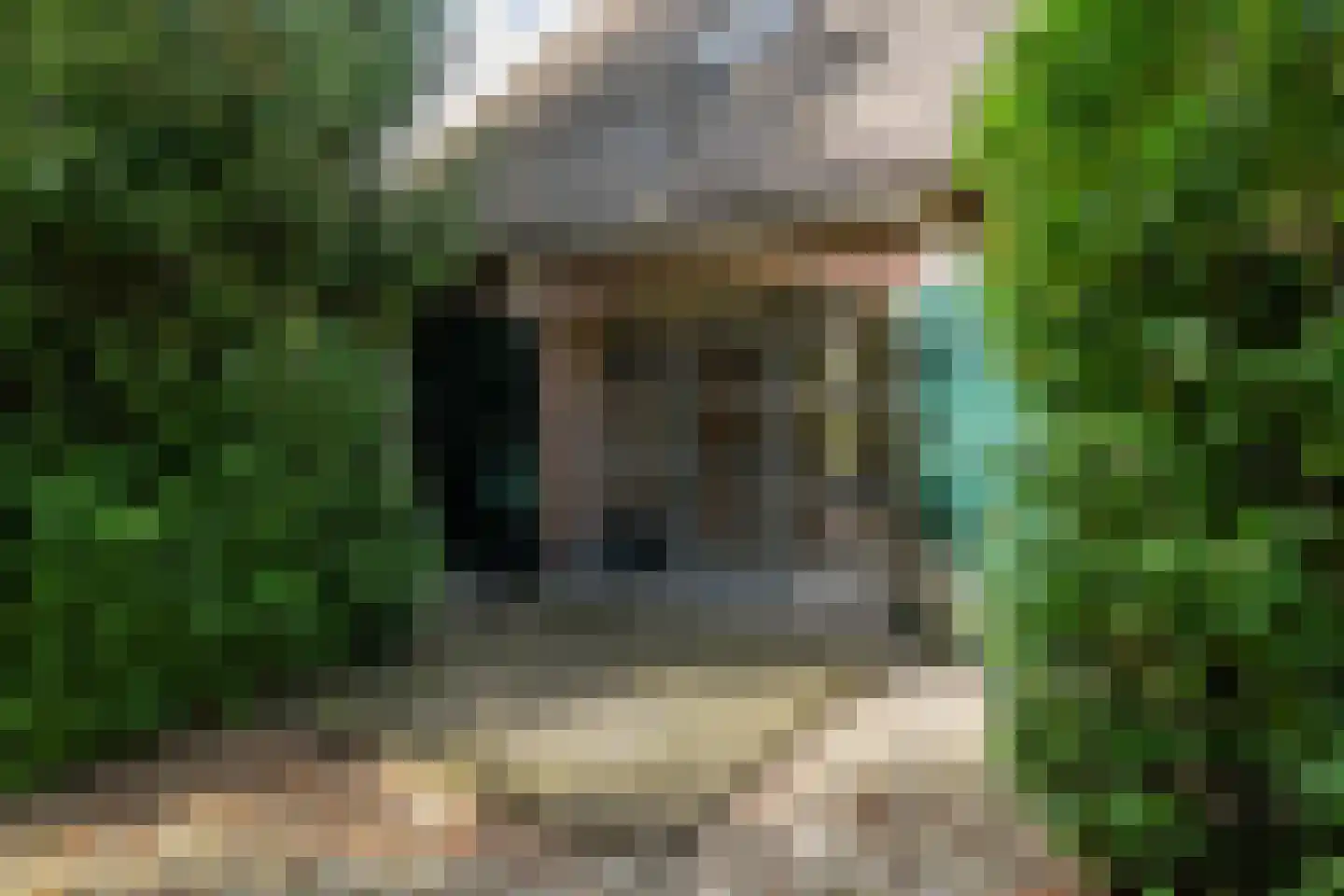 Alde Wei 2 Drachtstercompagnie thumbnail 74