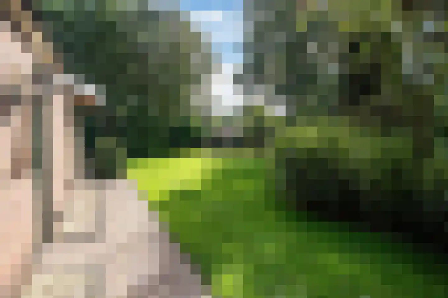 Alde Wei 2 Drachtstercompagnie thumbnail 76