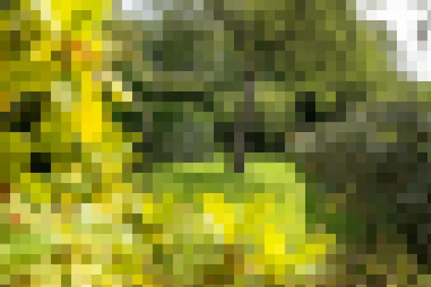 Alde Wei 2 Drachtstercompagnie thumbnail 77