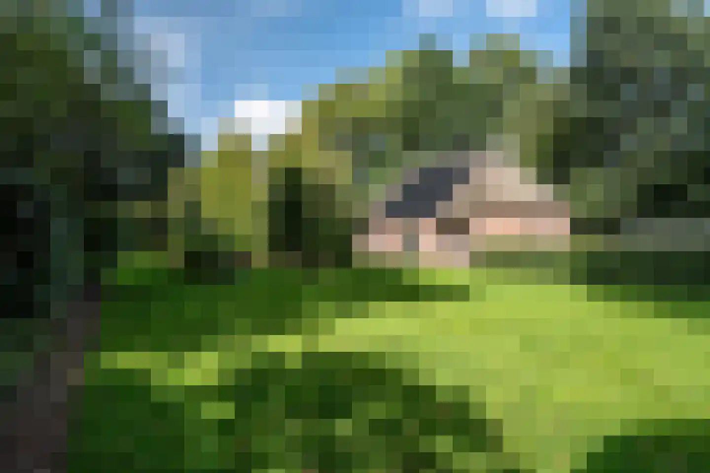 Alde Wei 2 Drachtstercompagnie thumbnail 79