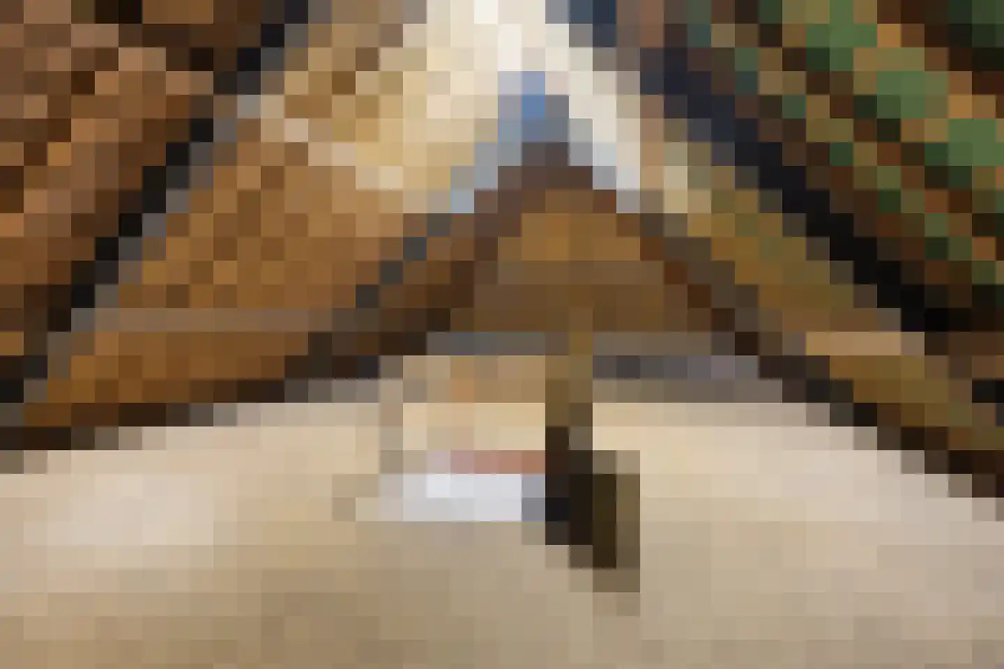 Alde Wei 2 Drachtstercompagnie thumbnail 81