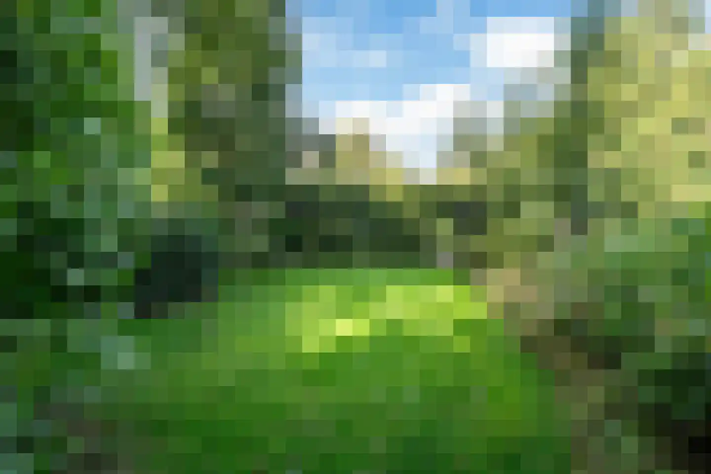 Alde Wei 2 Drachtstercompagnie thumbnail 83