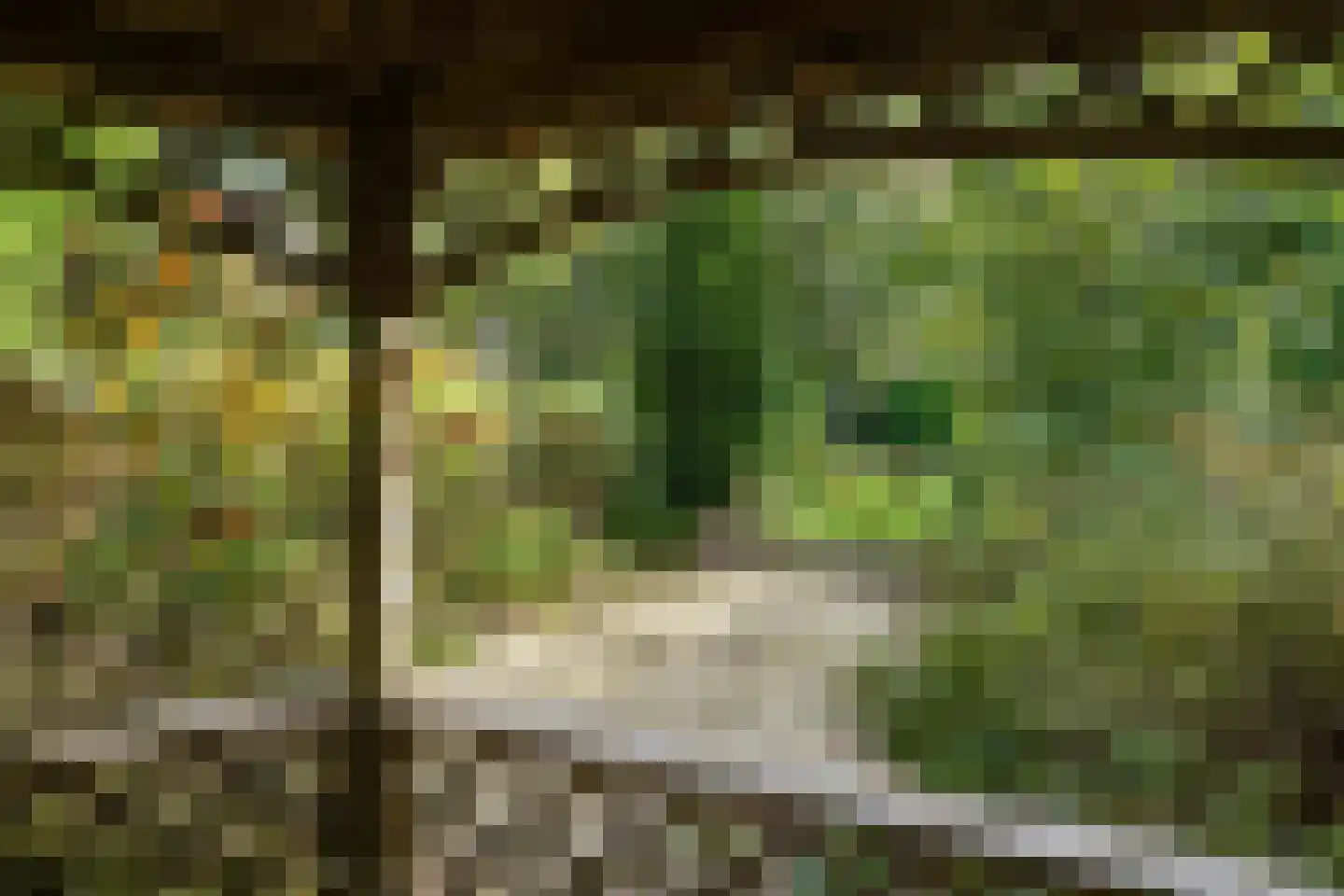 Alde Wei 2 Drachtstercompagnie thumbnail 85